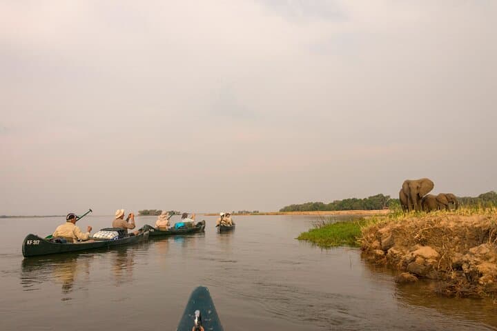 Zambezi Classic Long Canoe Safari: 10-Day Mana Pools Expedition