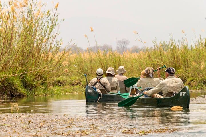Zambezi Classic Long Canoe Safari: 10-Day Mana Pools Expedition photo 5