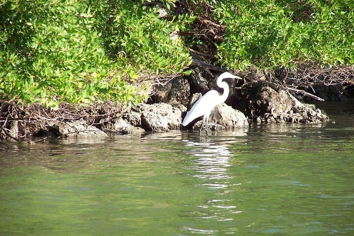 Naples Catamaran Day Sail & Shelling Excursion — 2.5-Hour Gulf Cruise photo 6