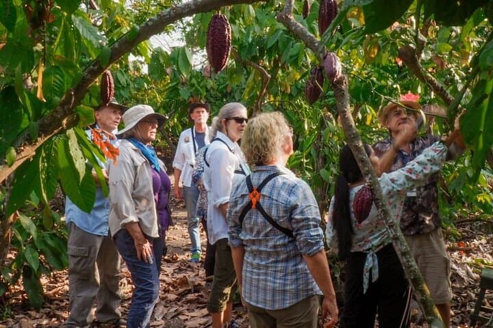 Churute Mangrove Reserve & Cocoa Farm Day Trip from Guayaquil photo 4