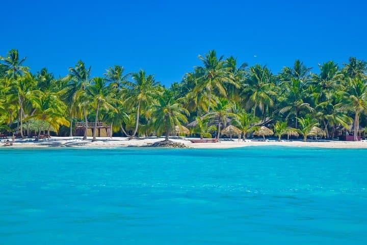 Saona Island Full-Day Catamaran & Natural Pool Tour from Santo Domingo photo 4