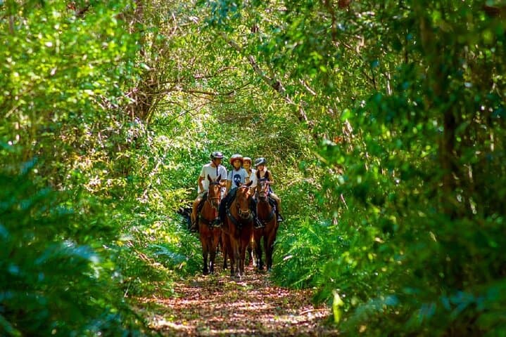 Uvero Alto Beach Horseback Ride: Gallop to the Maimón River photo 3