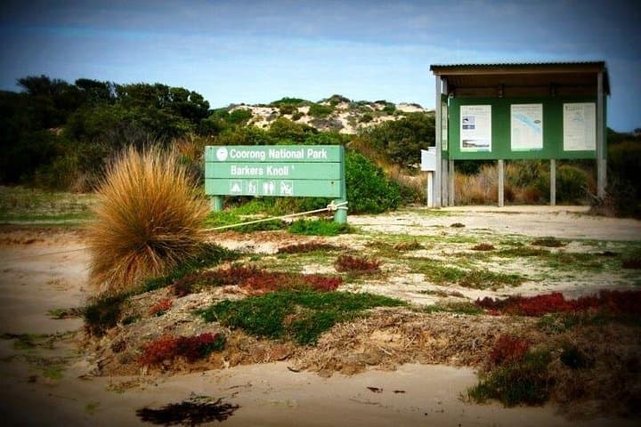 Coorong Lunch Cruise from Goolwa: 3.5-Hour Wildlife Cruise & Dune Walk photo 4