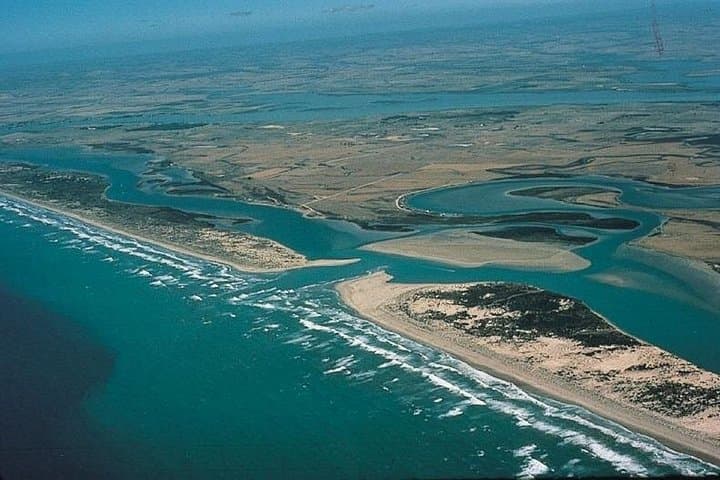 Coorong Lunch Cruise from Goolwa: 3.5-Hour Wildlife Cruise & Dune Walk photo 3