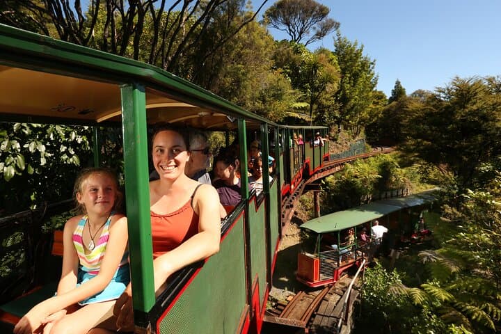 Driving Creek Railway: Coromandel's Hand-Built Mountain Train Experience photo 3