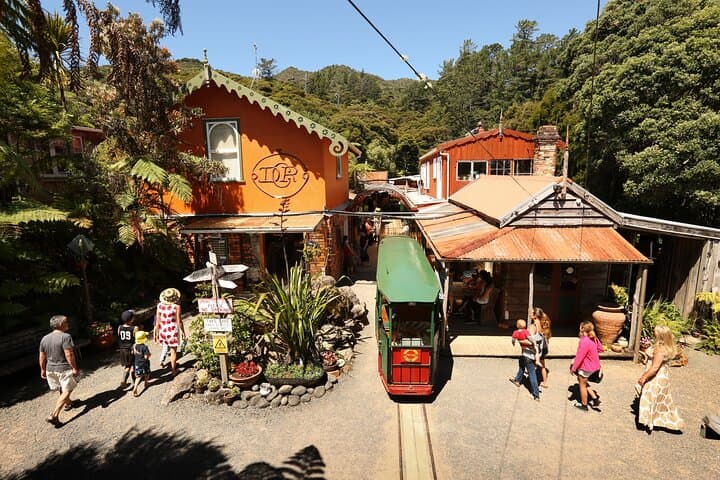 Driving Creek Railway: Coromandel's Hand-Built Mountain Train Experience photo 4