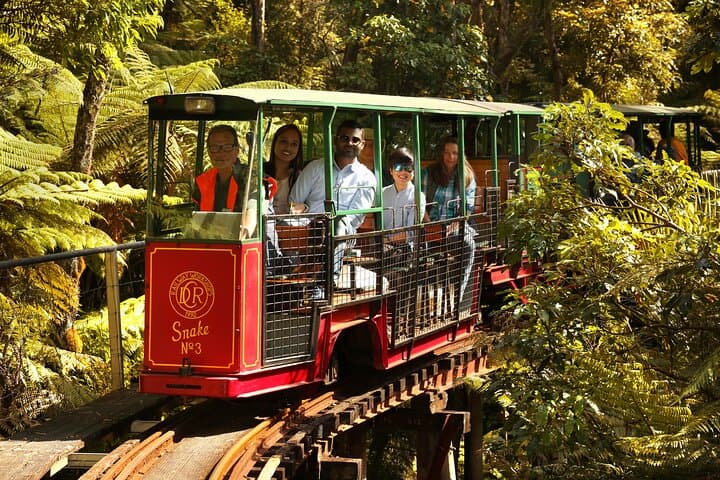 Driving Creek Railway: Coromandel's Hand-Built Mountain Train Experience
