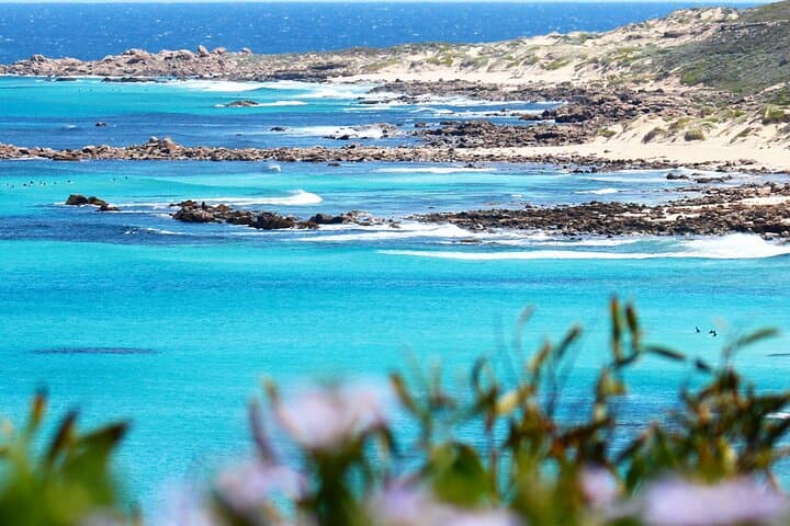 Margaret River Wine & Sights Day Tour from Busselton: Coastal Views, Wineries, and Wildlife photo 2