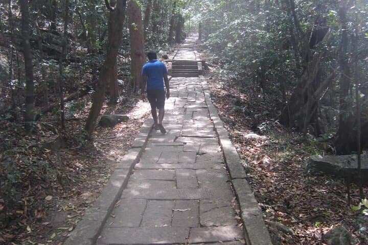 Highlights of Sri Lanka: 8-Day Private Tour from Negombo photo 6