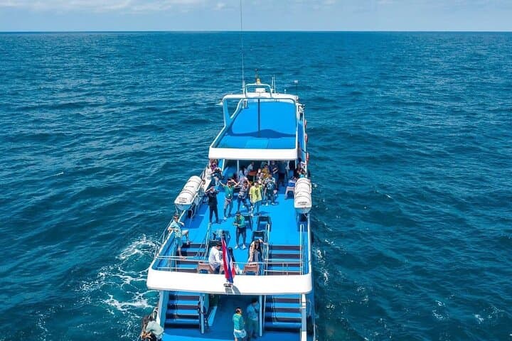 Phuket to Phi Phi Island Ferry — Phi Phi Cruiser Transfer Guide photo 3