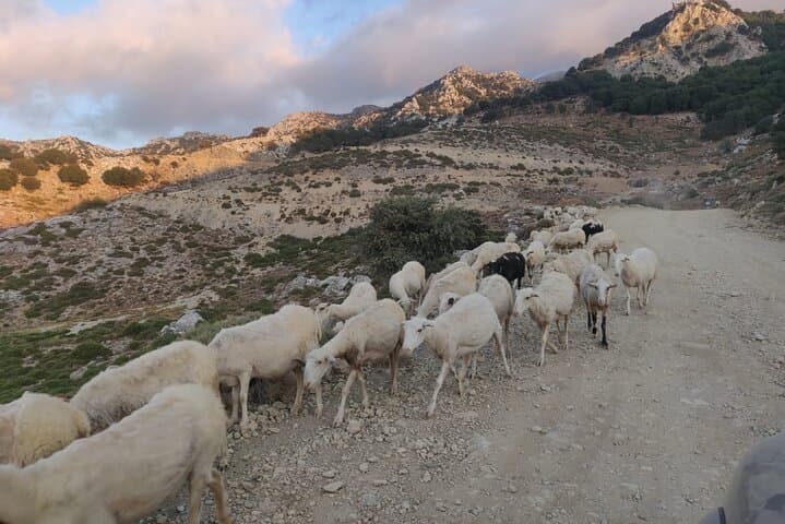 Sunset Jeep Safari in Crete Mountains — Private 4x4 Tour with Optional Dinner photo 6