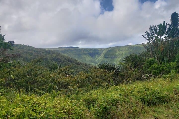 Black River Gorges Private Hike: Waterfalls, Endemic Birds & Forest Trails