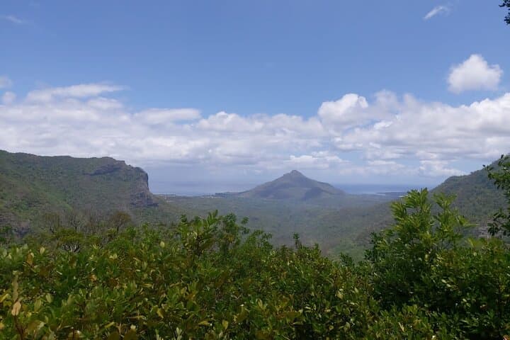 Black River Gorges Private Hike: Waterfalls, Endemic Birds & Forest Trails photo 4