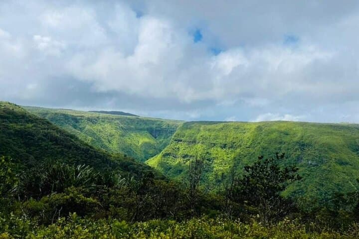 Black River Gorges Private Hike: Waterfalls, Endemic Birds & Forest Trails photo 6