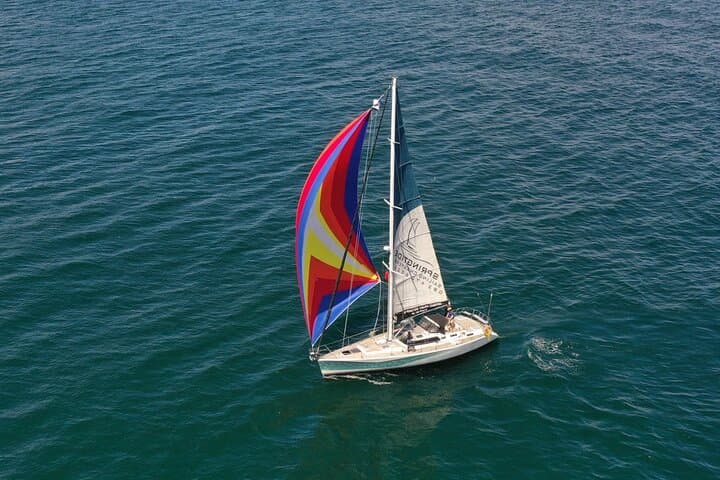 Knysna Short Sailing Cruise: 1.5-Hour Lagoon-to-Head Adventure