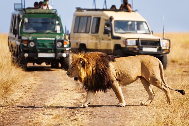 Dubai Safari Park Explorer: Full-Day Admission with Private Pickup photo 2