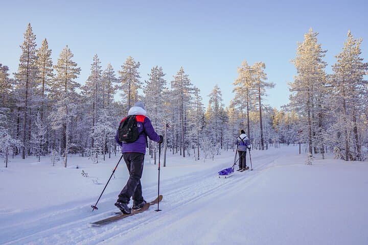 First Arctic Expedition on Altai Skis — Backcountry Skiing Near Rovaniemi photo 2