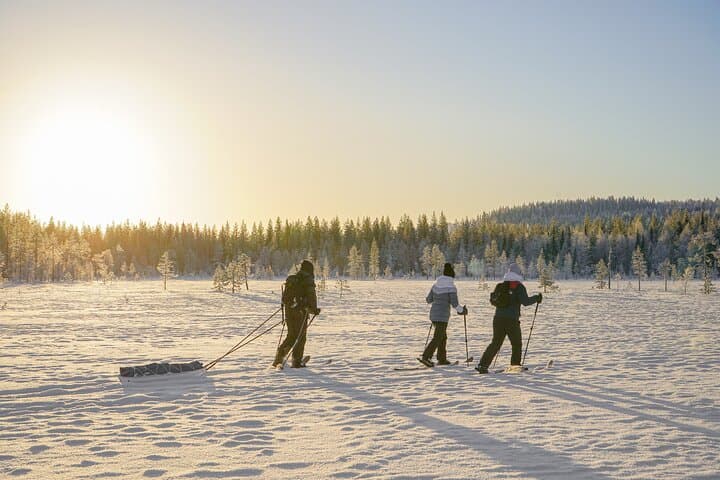 First Arctic Expedition on Altai Skis — Backcountry Skiing Near Rovaniemi photo 1