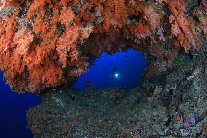 Private 5-Day Morotai Scuba Diving Trip — Wrecks, Sharks & Island Hopping photo 6