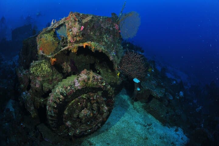 Private 5-Day Morotai Scuba Diving Trip — Wrecks, Sharks & Island Hopping photo 5