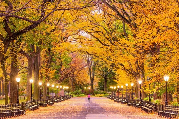 Central Park Self-Guided Audio Tour: Discover NYC’s Stories in 90 Minutes