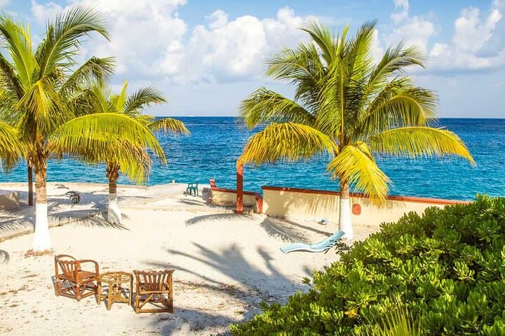 Half-Day Cozumel Tour: San Gervasio Ruins, Chankanaab & Reef Snorkeling with Dinner photo 4