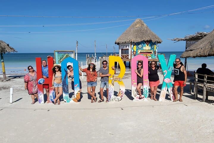 Day Trip to Holbox: Ferry to Punta Mosquitos & Punta Cocos from Cancun
