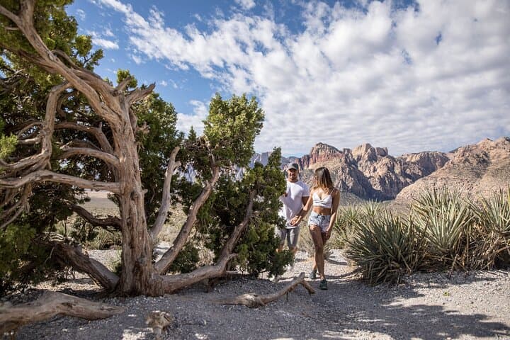 Red Rock Canyon Scooter Tour — 13-Mile Scenic Loop from Las Vegas photo 3