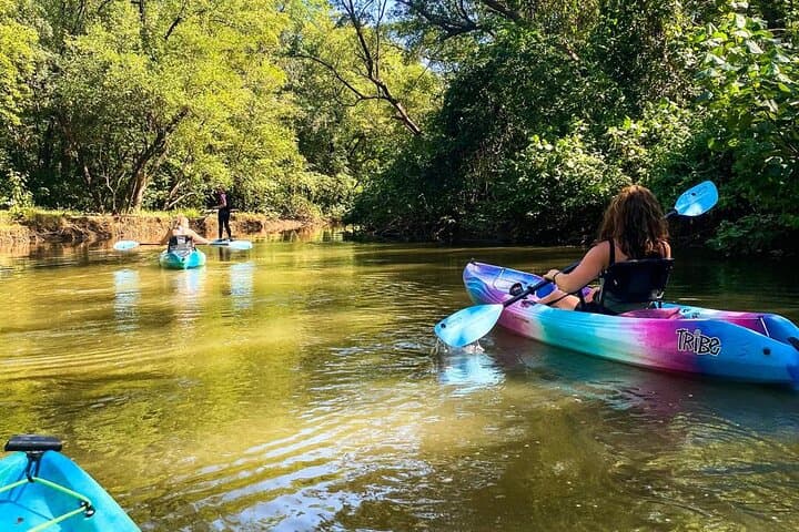 Sunrise Kayak Through Guanacaste Mangroves to a Secluded Black‑Sand Beach photo 5