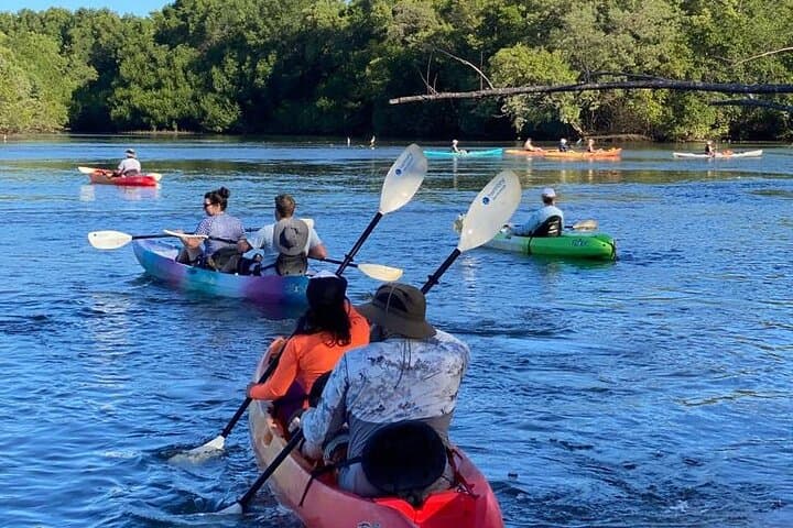 Sunrise Kayak Through Guanacaste Mangroves to a Secluded Black‑Sand Beach photo 6