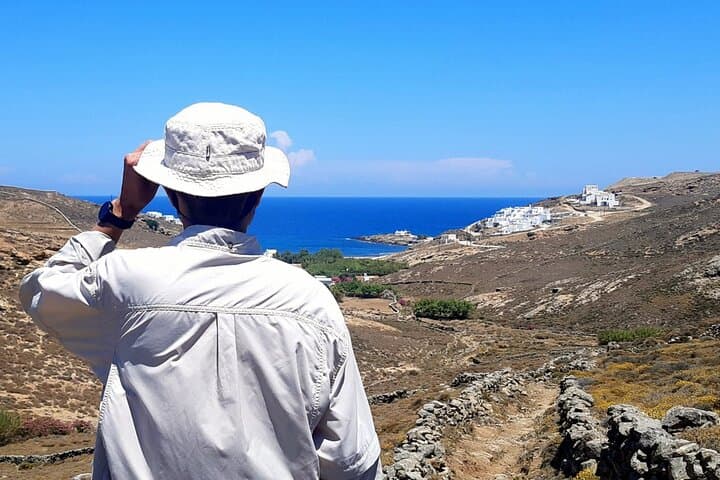 Mykonos Half-Day Hiking Adventure: Donkey Paths, Merchia Beach & Vioma Vineyard