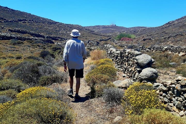 Mykonos Half-Day Hiking Adventure: Donkey Paths, Merchia Beach & Vioma Vineyard photo 3