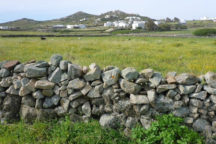 Mykonos Half-Day Hiking Adventure: Donkey Paths, Merchia Beach & Vioma Vineyard photo 4