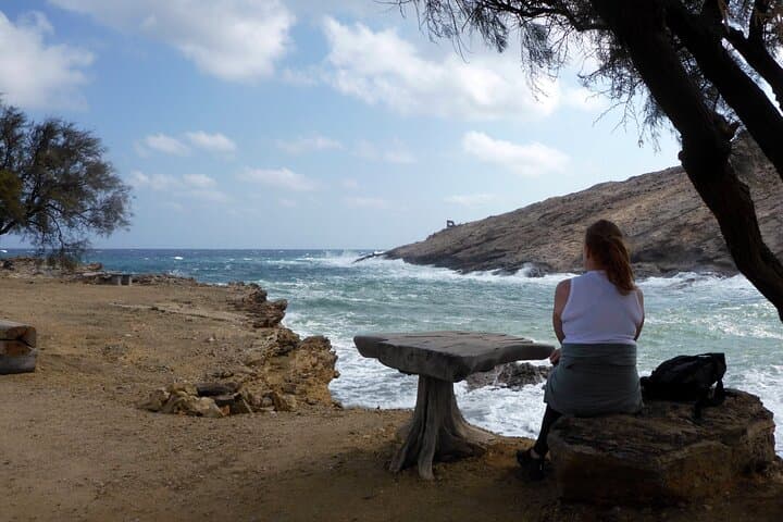 Mykonos Half-Day Hiking Adventure: Donkey Paths, Merchia Beach & Vioma Vineyard photo 5