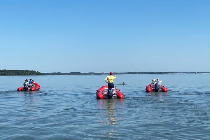 Drive-a-Mini-Boat Dolphin Tour in Hilton Head: Guided 2-Hour Sightseeing & Wildlife Cruise photo 4