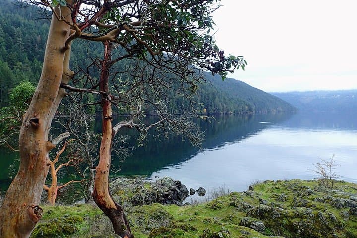 Half-Day Guided Nature Hike Near Victoria — Coastal Forests, Garry Oak Meadows & Beaches photo 1