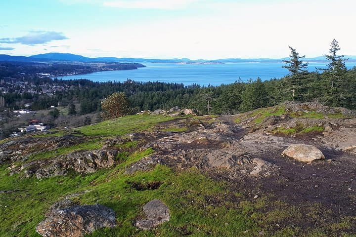 Half-Day Guided Nature Hike Near Victoria — Coastal Forests, Garry Oak Meadows & Beaches photo 3