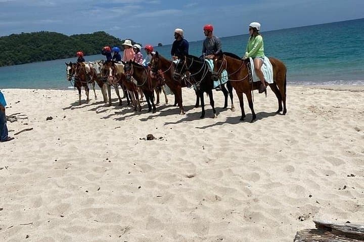 Brasilito Horseback Riding: Beachfront Trails & Wildlife in Guanacaste photo 3