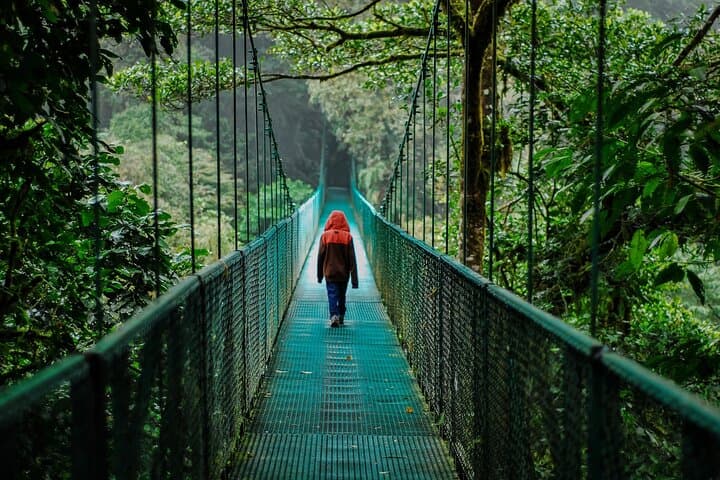Shared Shuttle from San José to Monteverde: Reliable, Budget-Friendly Transfer photo 4