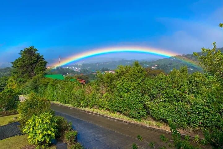 Shared Shuttle from San José to Monteverde: Reliable, Budget-Friendly Transfer photo 6