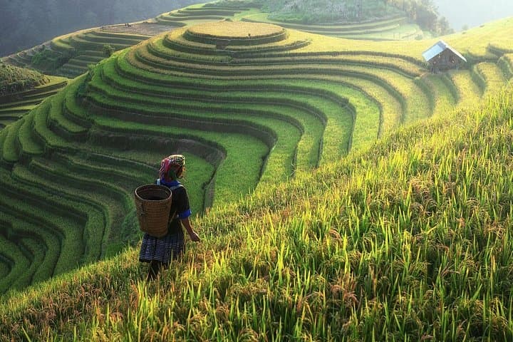 Full-Day Private Trekking in Sapa: Ta Van & Ta Phin Rice Terrace Hike photo 6
