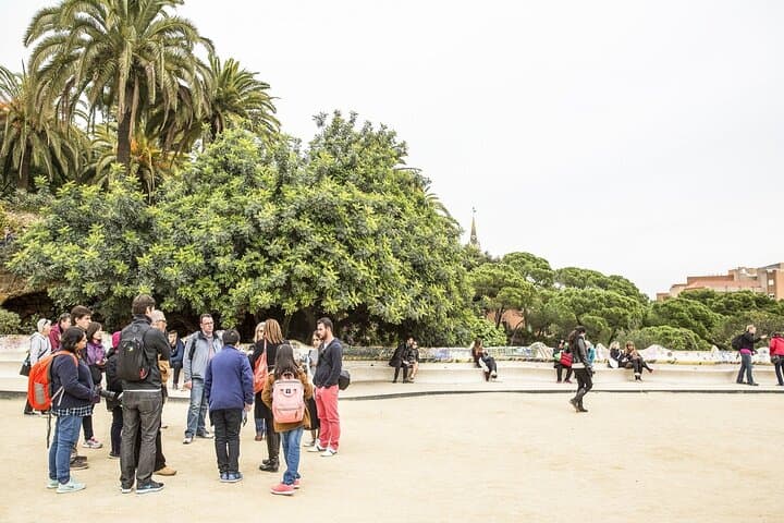 Park Güell Private Tour: Gaudí's Mosaic Park and City Views photo 3
