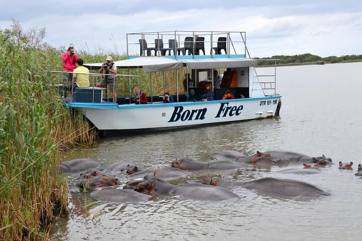 From Durban: Hluhluwe‑Imfolozi Big Five Safari and St Lucia Estuary Boat Trip photo 2