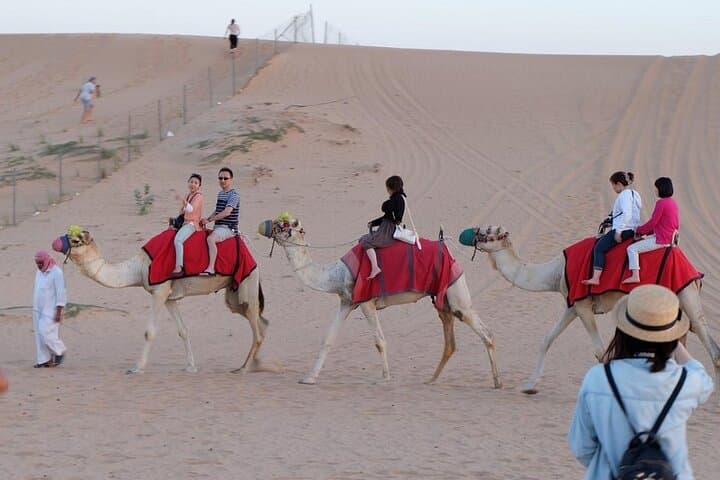 Morning Desert Safari Dubai — Dune Bashing, Sandboarding & Camel Ride in Lahbab photo 3