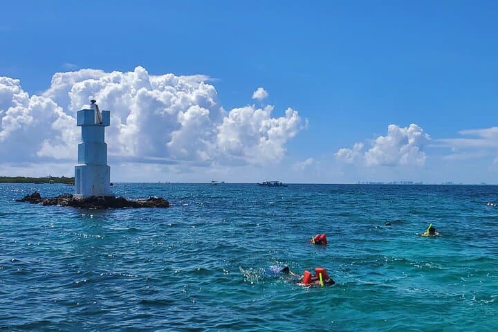Private Snorkeling at Isla Mujeres and MUSA — Best Reefs for Beginners and Families photo 2