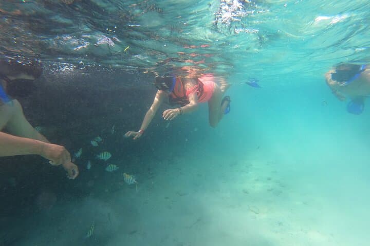 Private Snorkeling at Isla Mujeres and MUSA — Best Reefs for Beginners and Families photo 3