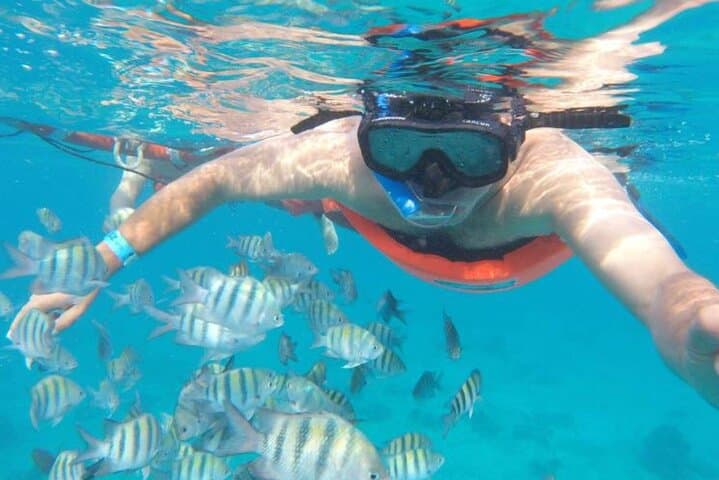 Private Snorkeling at Isla Mujeres and MUSA — Best Reefs for Beginners and Families
