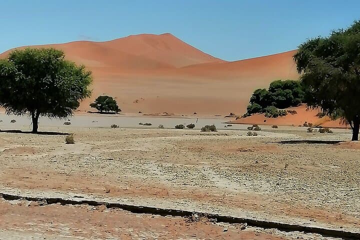3-Day Scenic Sossusvlei Adventure from Swakopmund — Dunes, Deadvlei & Sesriem photo 2