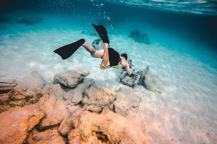 Isla Contoy & Isla Mujeres Day Trip: Snorkel the Mesoamerican Reef and Visit a Protected Bird Sanctuary photo 4