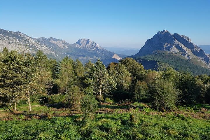 Biscay Villages, Forests and Valleys: Private Full-Day Tour from Bilbao